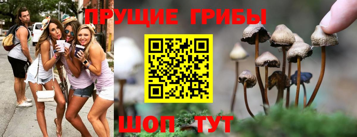 Галлюциногенные грибы мицелий  Галлюциногенные грибы прущие грибы  Вход с VPN  Камень-на-Оби 