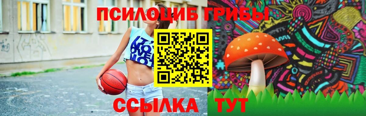 Псилоцибиновые грибы прущие грибы Камень-на-Оби